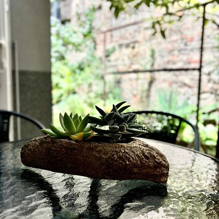 Apartman Croatea 萨格勒布 外观 照片