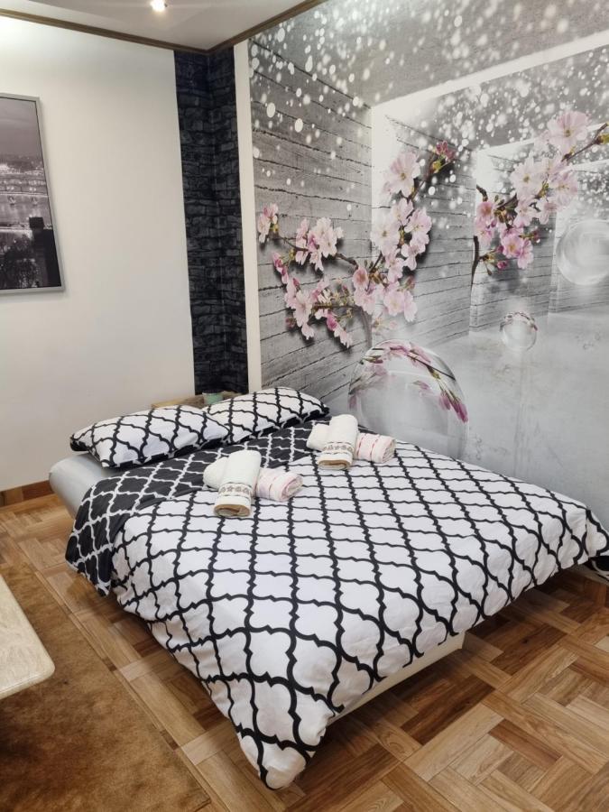 Apartman Croatea 萨格勒布 外观 照片